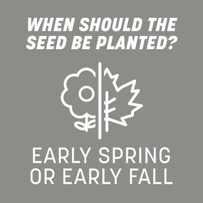 Image showing 9 th Pennington Contractors Mix Northern 40 lb., 2 pk.