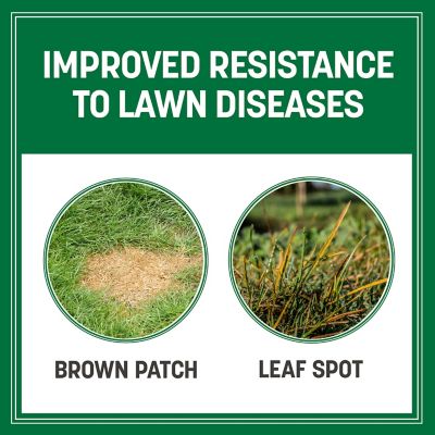 Image showing  Smart Seed Pro Tri Fescue 50 lb. Pallet