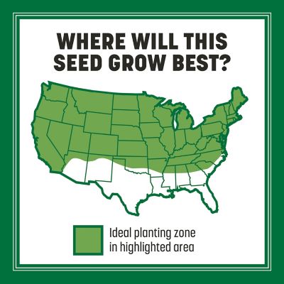 Image showing  Smart Seed Pro Tri Fescue 50 lb. Pallet