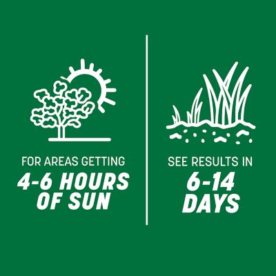 Image showing 5 th Pennington Smart Seed Pro Tri Fescue 50 lb. Pallet