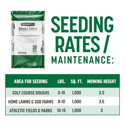 Image showing 7 th Pennington Smart Seed Pro Tri Fescue 50 lb. Pallet