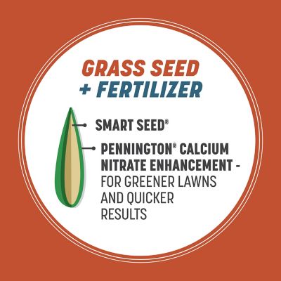 Image showing  Smart Seed Bermuda Mix W Fert 1.75 lb.