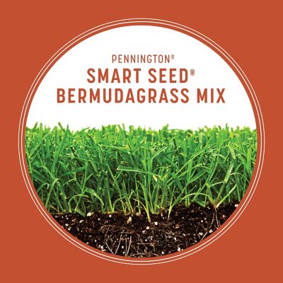 Image showing  Smart Seed Bermuda Mix W Fert 1.75 lb.