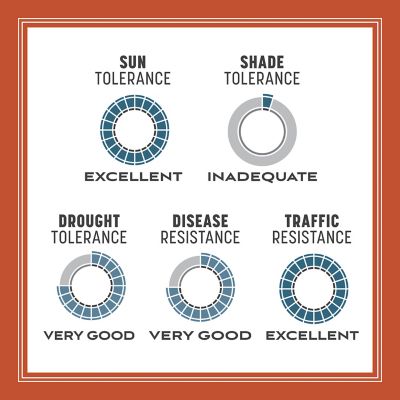 Image showing 8 th Pennington Smart Seed Bermuda Mix W Fert 1.75 lb.