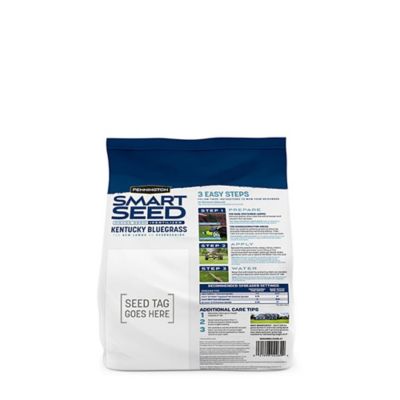Image showing  Smart Seed Kentucky Blue Blend W Fert 3 lb.