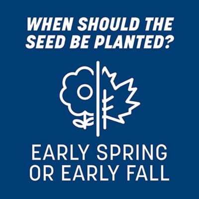 Image showing  Smart Seed Kentucky Blue Blend W Fert 3 lb.