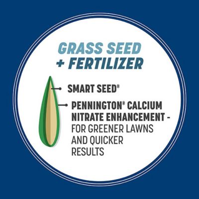 Image showing 5 th Pennington Smart Seed Kentucky Blue Blend W Fert 3 lb.