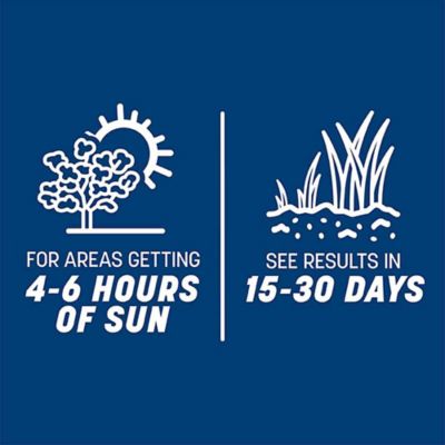 Image showing 8 th Pennington Smart Seed Kentucky Blue Blend W Fert 3 lb.