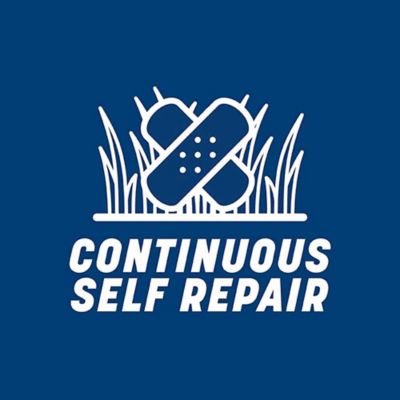 Image showing 9 th Pennington Smart Seed Kentucky Blue Blend W Fert 3 lb.