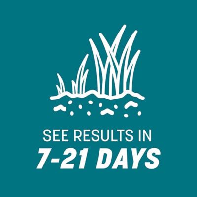 Image showing 6 th Pennington Argentine Bahiagrass 3 lb.