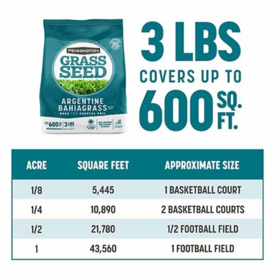 Image showing 8 th Pennington Argentine Bahiagrass 3 lb.