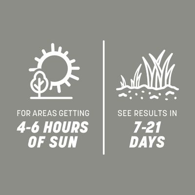 Image showing 5 th Pennington Contractors Mix Central 40 lb. Pallet