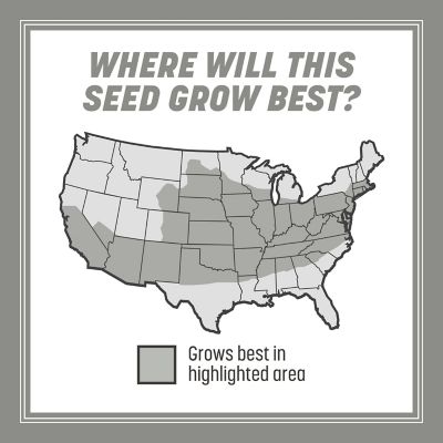 Image showing 6 th Pennington Contractors Mix Central 40 lb. Pallet