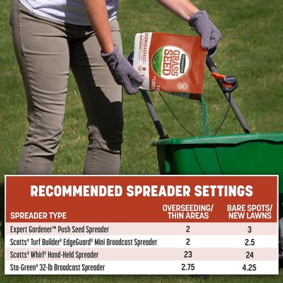 Image showing 7 th Pennington Bermudagrass 1 lb.