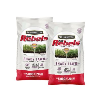 Pennington Rebels Shady Lawn 20 lb., 2 pk.