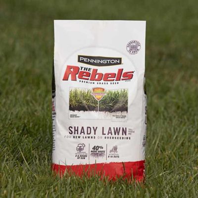 Image showing  Rebels Shady Lawn 20 lb., 2 pk.