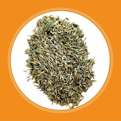 Image showing  Smart Seed Pro Athletic Mix -Pallet