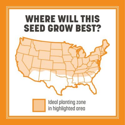 Image showing  Smart Seed Pro Athletic Mix -Pallet