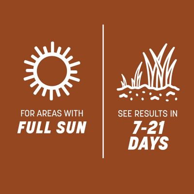 Image showing 6 th Pennington Bermuda Sahara 25 lb. Pallet