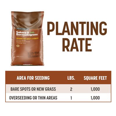 Image showing 8 th Pennington Bermuda Sahara 25 lb. Pallet