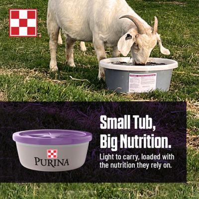 Image showing  Sheep & Goat Protien +Energy Tub