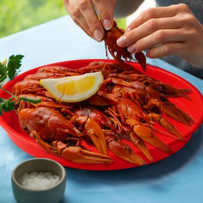 Image showing 7 th Creole Feast Plastic Crawfish Plates, Set of 6, Heavy Duty Plastic Plates