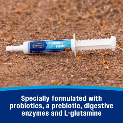 Image showing 6 th Farnam Probiotic Paste