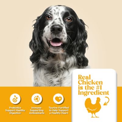 Image showing  Adult Chicken and Rice Formula Dry Dog Food