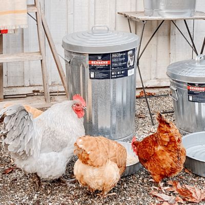 Image showing  10 gal. Galvanized Steel Utility/Trash Can
