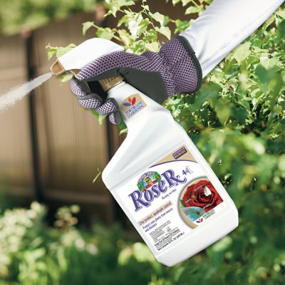 Image showing  Captain Jack's Rose Rx 4-in-1 Insect & Disease Control, Ready-to-Use Spray