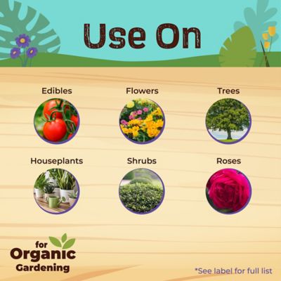 Image showing  Captain Jack's Rose Rx 4-in-1 Insect & Disease Control, Ready-to-Use Spray