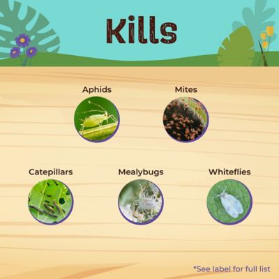 Image showing  Captain Jack's Rose Rx 4-in-1 Insect & Disease Control, Ready-to-Use Spray