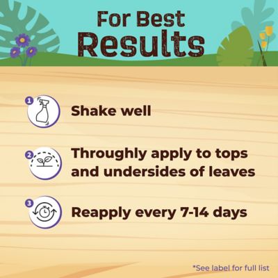 Image showing 5 th Bonide Captain Jack's Rose Rx 4-in-1 Insect & Disease Control, Ready-to-Use Spray