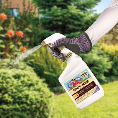 Image showing  Captain Jack's Neem Max Ready-to-Use Spray Cold Pressed Neem Oil, Insecticide, Fungicide, Miticide and Nematicide