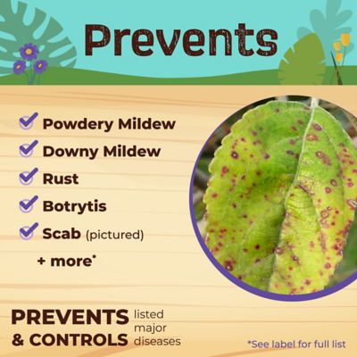 Image showing  Captain Jack's Neem Max Ready-to-Use Spray Cold Pressed Neem Oil, Insecticide, Fungicide, Miticide and Nematicide