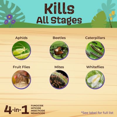 Image showing  Captain Jack's Neem Max Ready-to-Use Spray Cold Pressed Neem Oil, Insecticide, Fungicide, Miticide and Nematicide