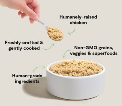 Image showing  Goodbowl Harvest Chicken Freshly Crafted Dog Food, 16 oz.