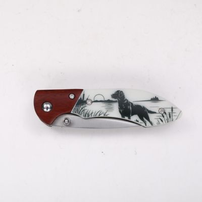 Image showing  Labrador Brown White Folding Knife