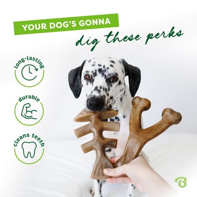 Image showing  Fishbone/Wishbone Bacon Medium, 2 pk.