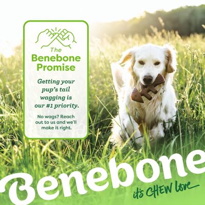 Image showing 6 th Benebone Fishbone/Wishbone Bacon, Medium, 2 pk.