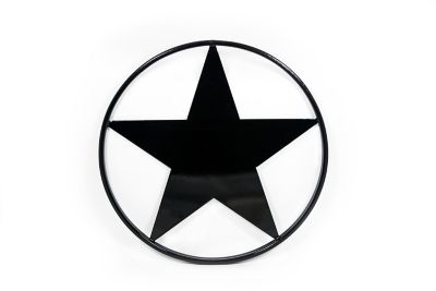 Fortress Building Products Fe26 2D Star Ornamental Insert