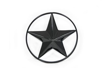 Fortress Building Products Fe26 3D Star Ornamental Insert