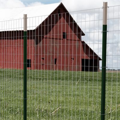 Image showing  72 in. x 100 ft. 14 Gauge 2 in. x 4 in. Mesh Galvanized Steel Welded Wire