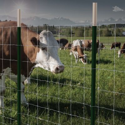 Image showing  47 in. x 330 ft. 11 Gauge Galvanized Steel Field Fence