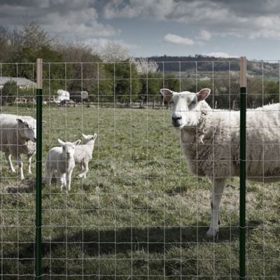 Image showing  48 in. x 330 ft. 12-1/2 Gauge Galvanized Steel Sheep and Goat Fence