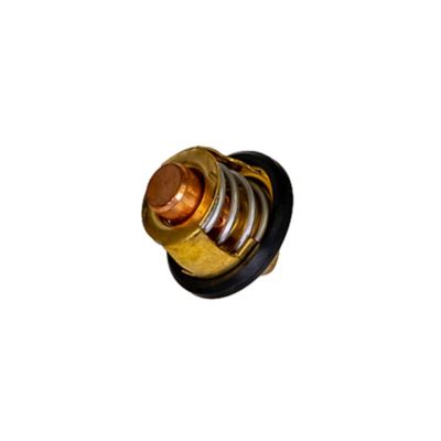 Image showing  T-Boss 550, 560 Thermostat