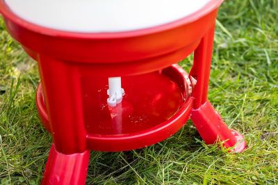 Image showing  Poultry Waterer 30 Liter