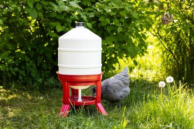 Image showing  Poultry Waterer 30 Liter