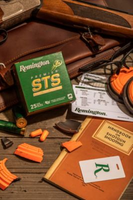 Image showing  STS 20GA 2-3/4IN 2-1/2DRAM 7/8OZ 8