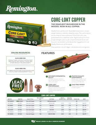 Image showing  RCC300AAC1 300 AAC Blackout 120GR Core-Lokt Copper HP